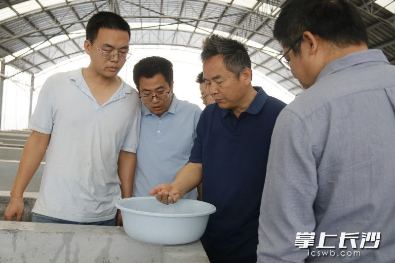 威廉希尔中文网站平台