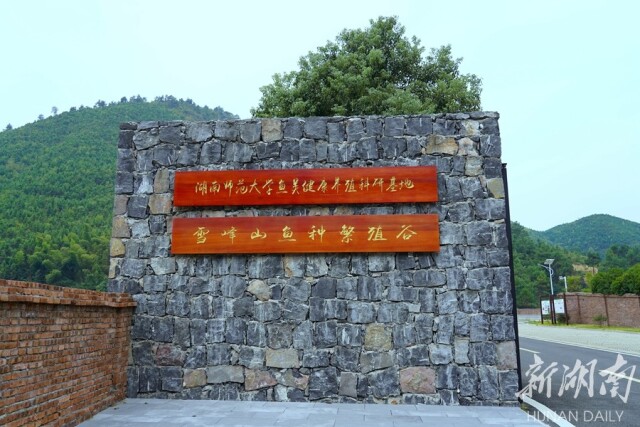 威廉希尔中文网站平台