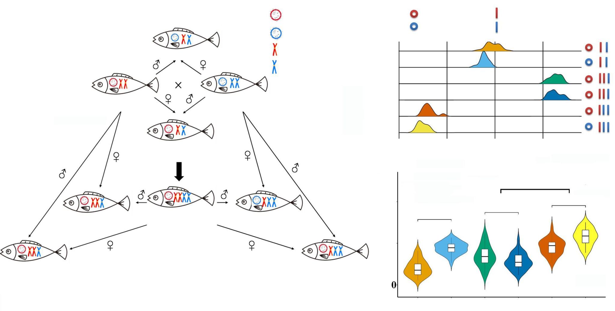 威廉希尔中文网站平台