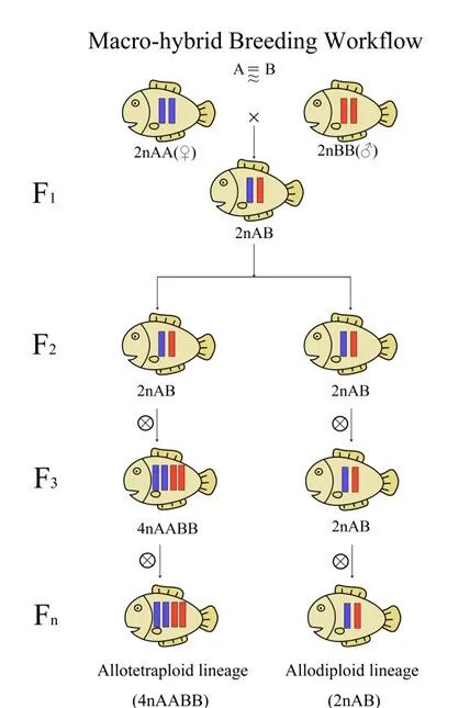 威廉希尔中文网站平台