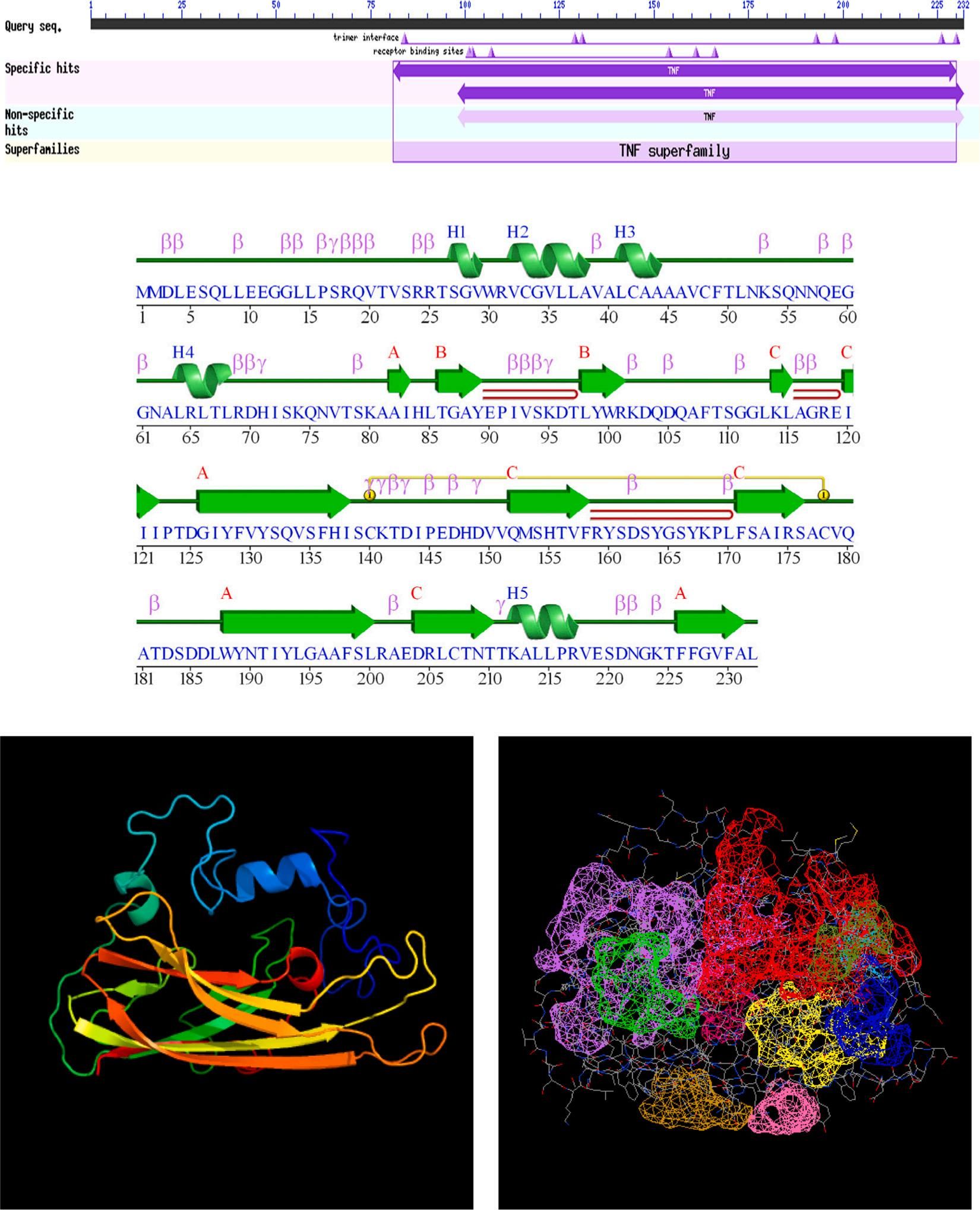威廉希尔中文网站平台
