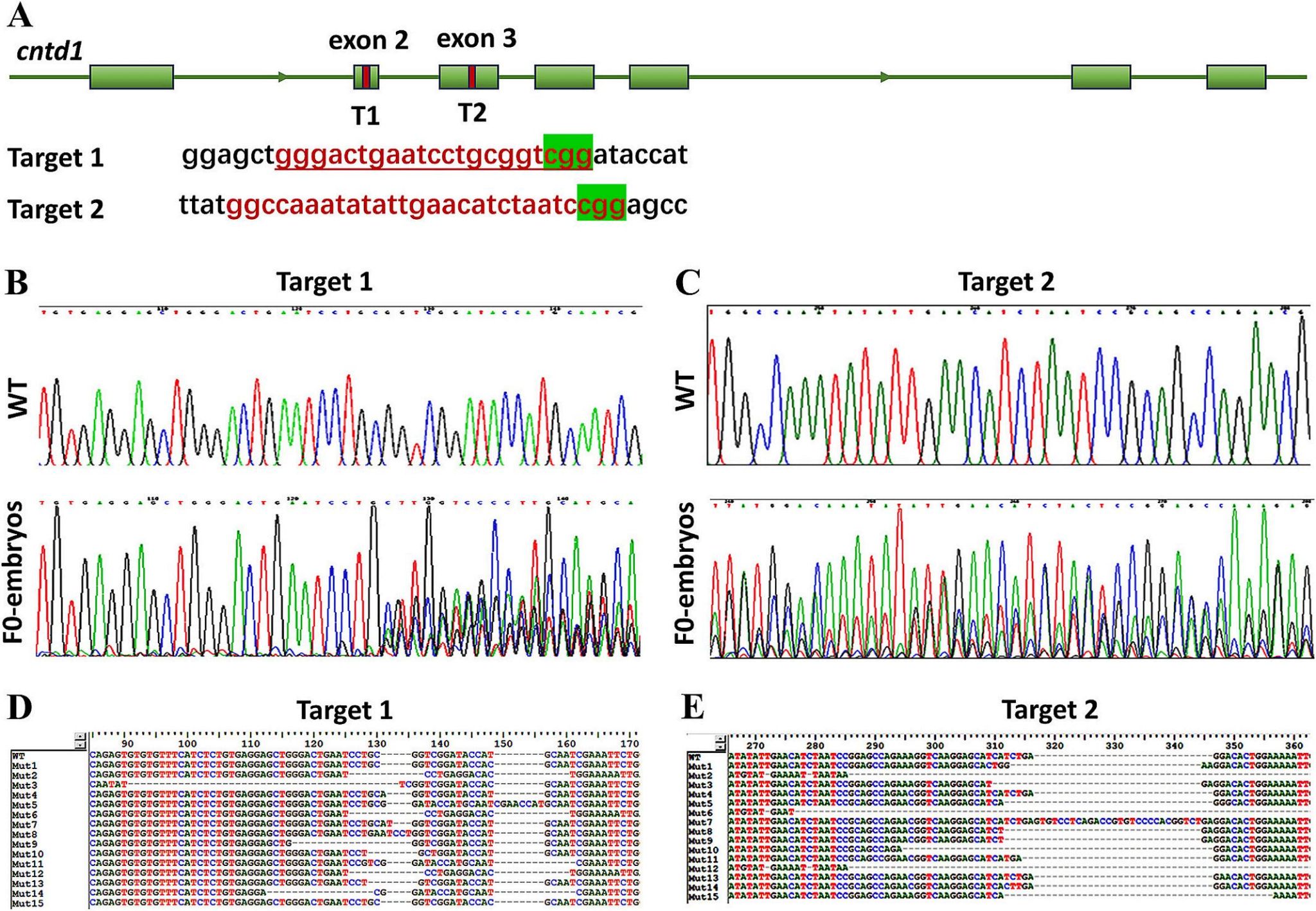 威廉希尔中文网站平台