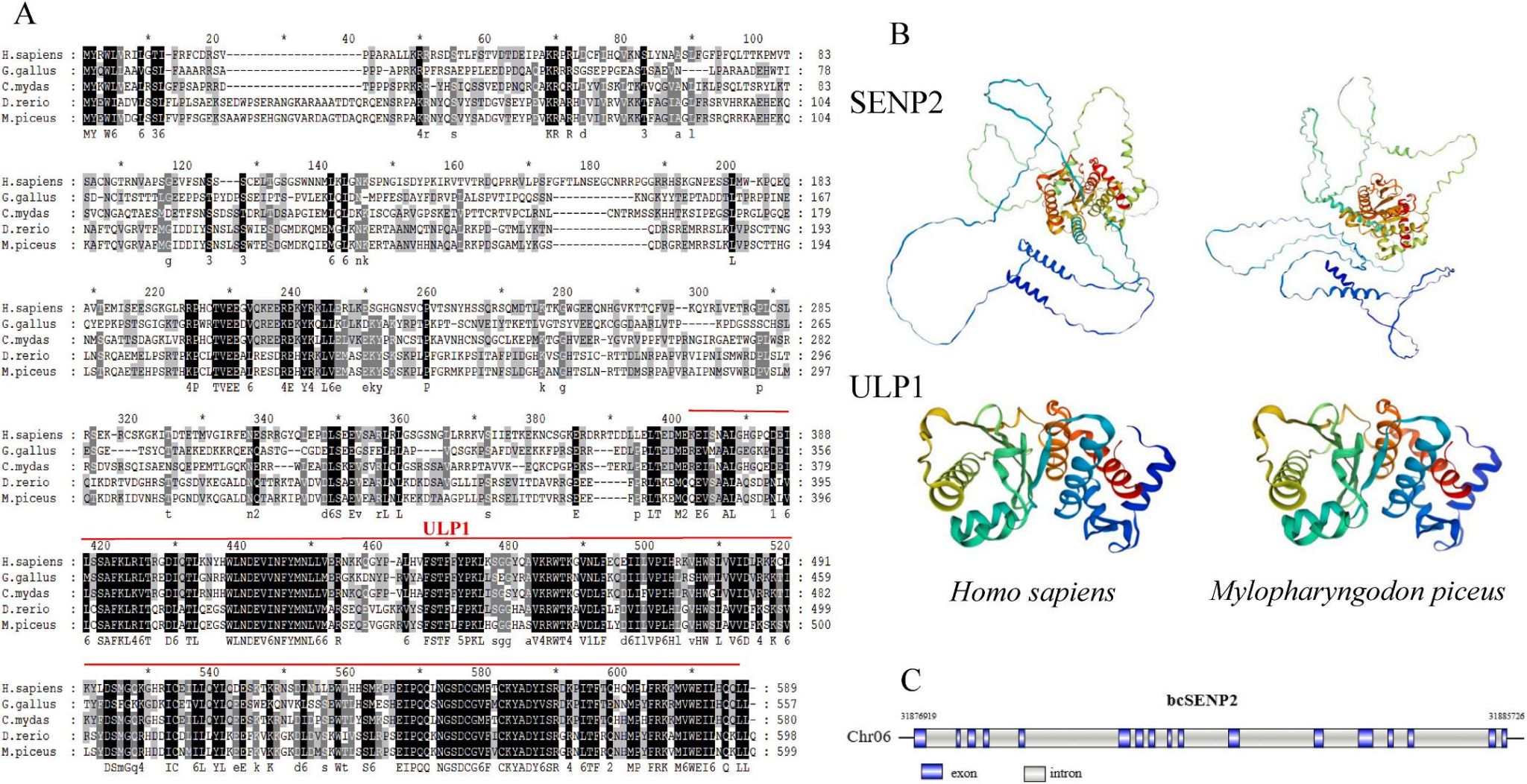 威廉希尔中文网站平台