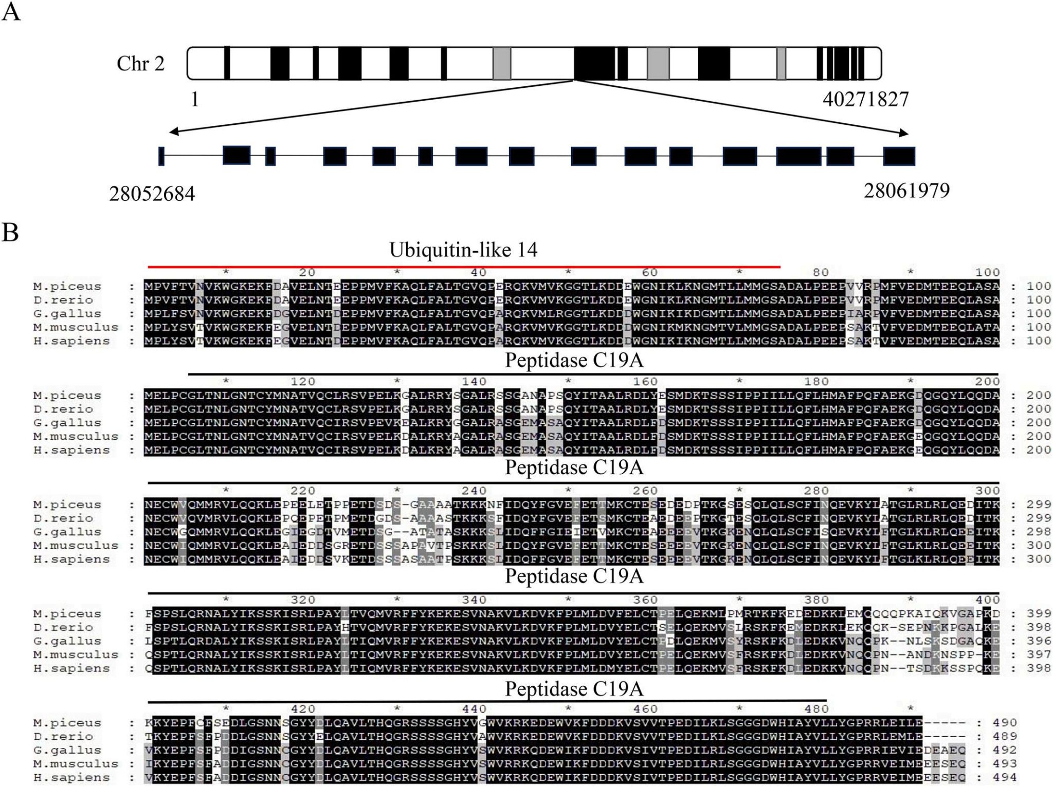 威廉希尔中文网站平台
