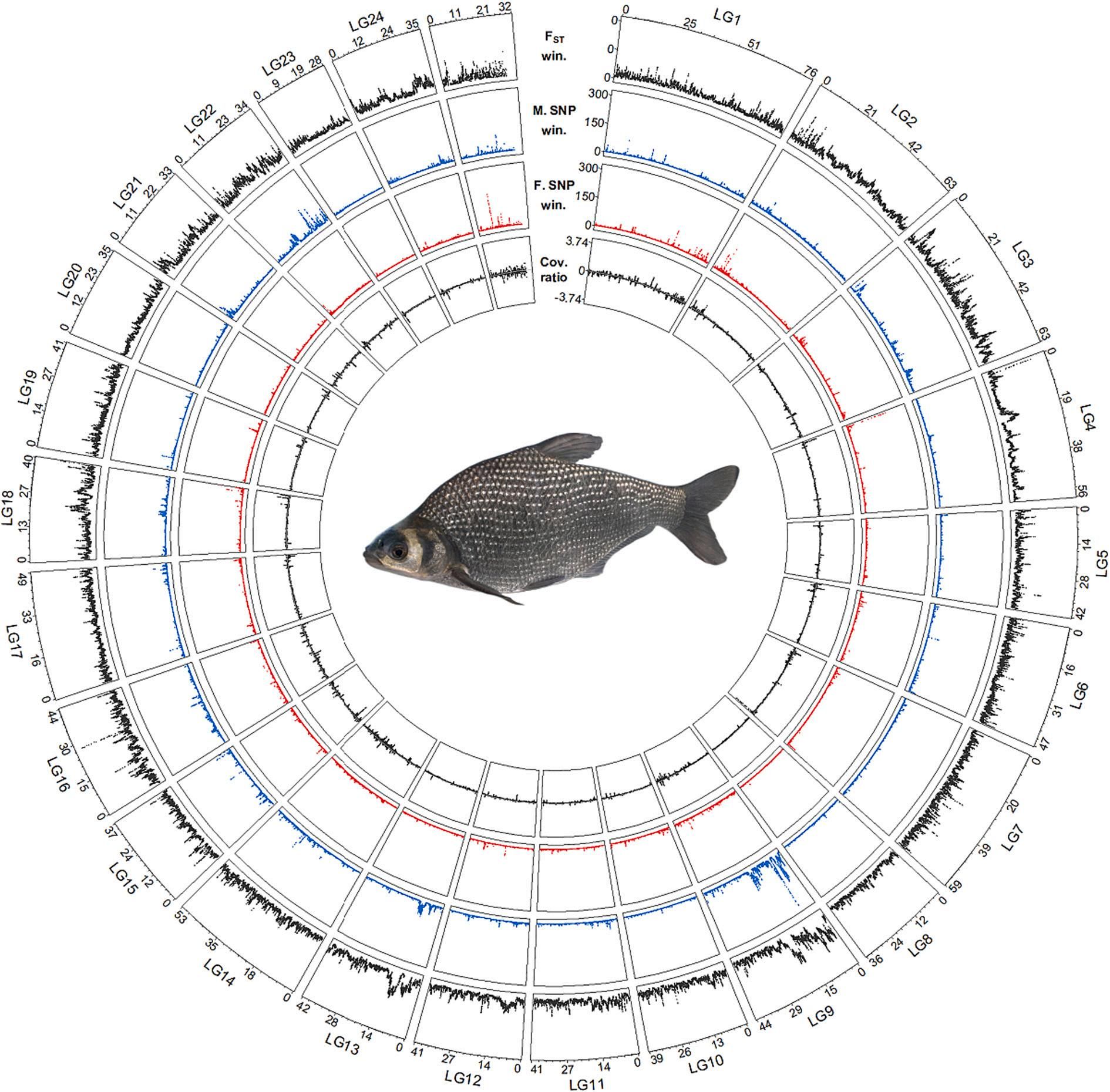 威廉希尔中文网站平台