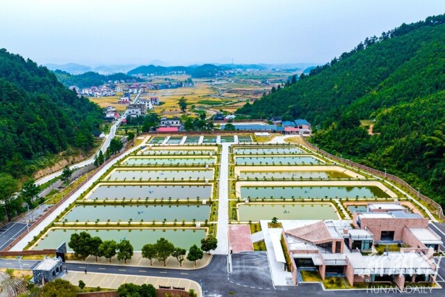威廉希尔中文网站平台