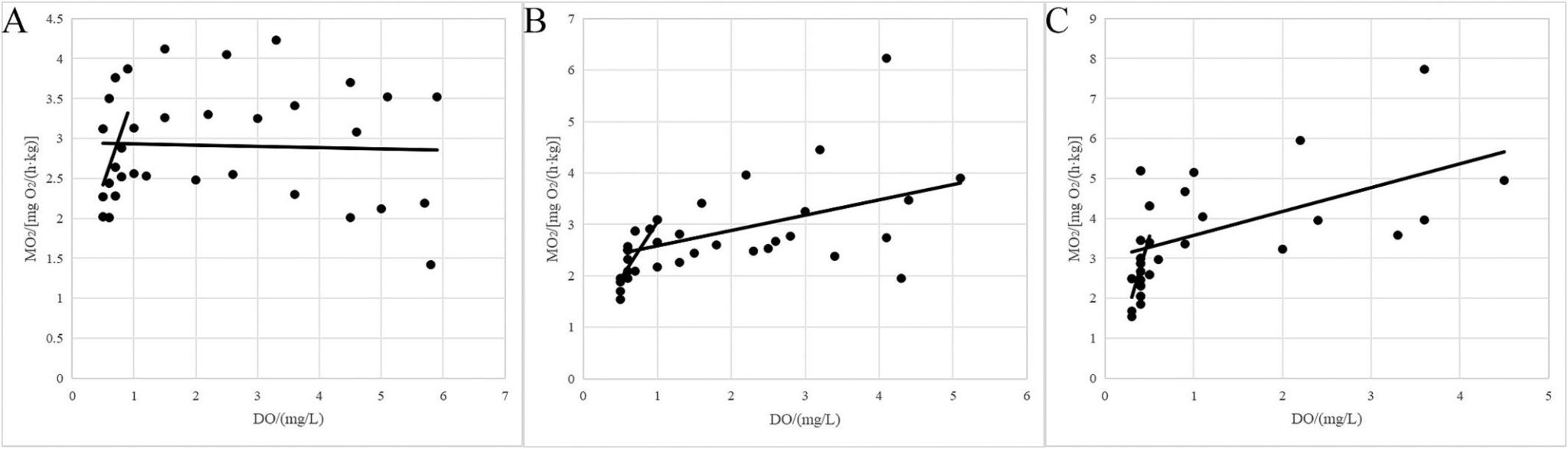 威廉希尔中文网站平台