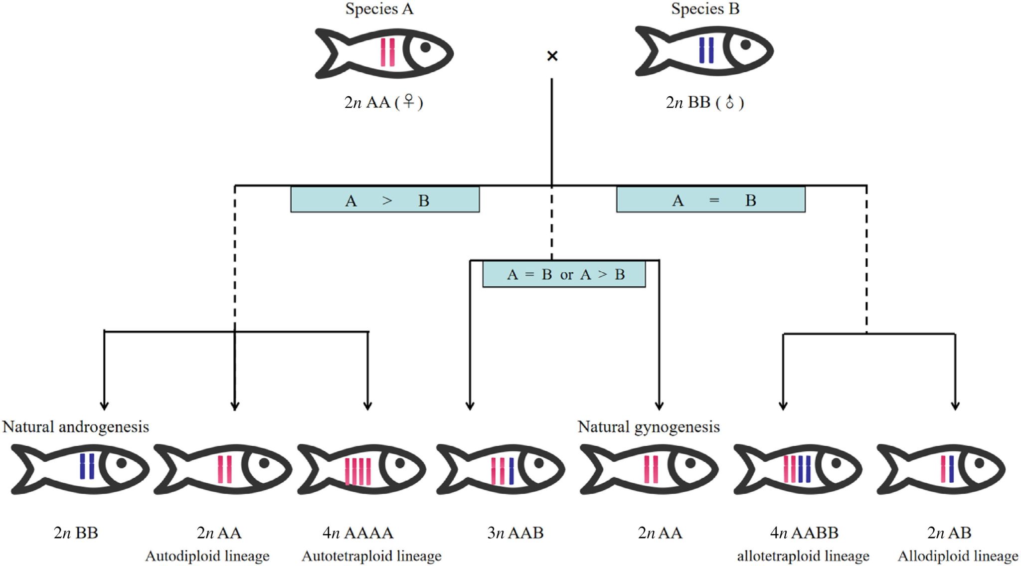 威廉希尔中文网站平台