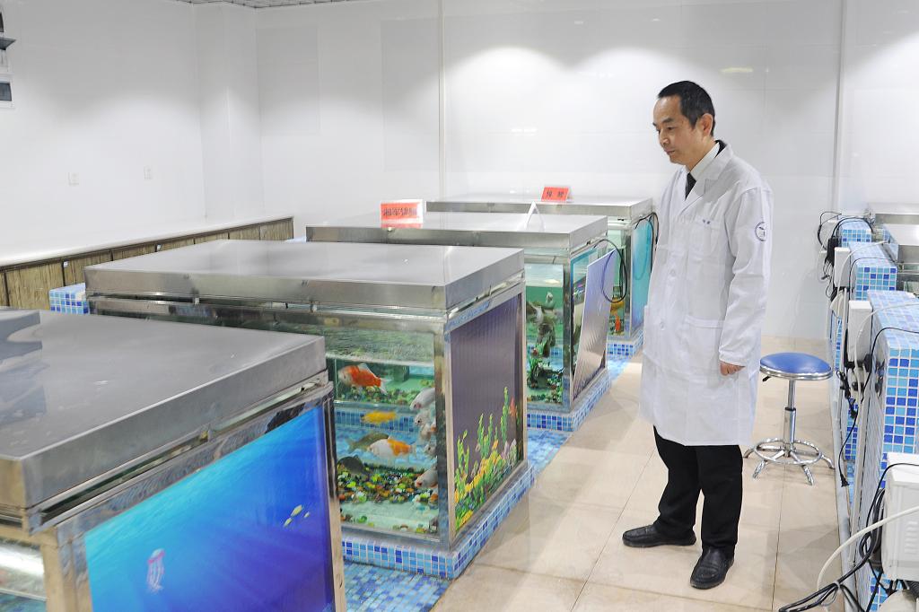 威廉希尔中文网站平台