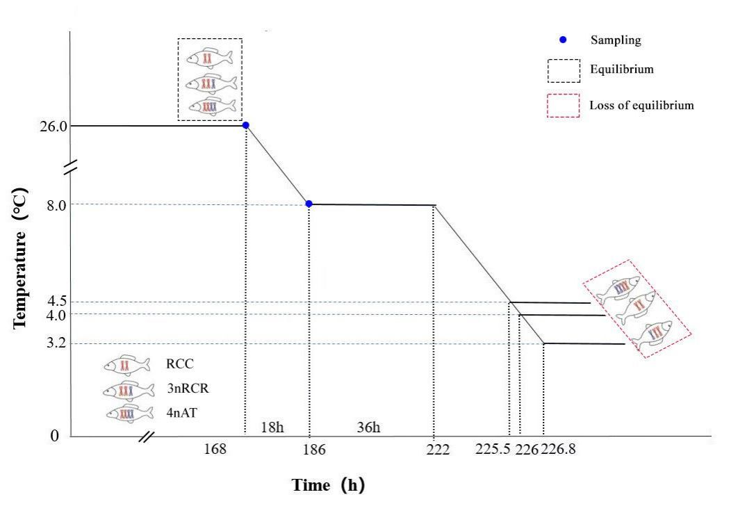 威廉希尔中文网站平台