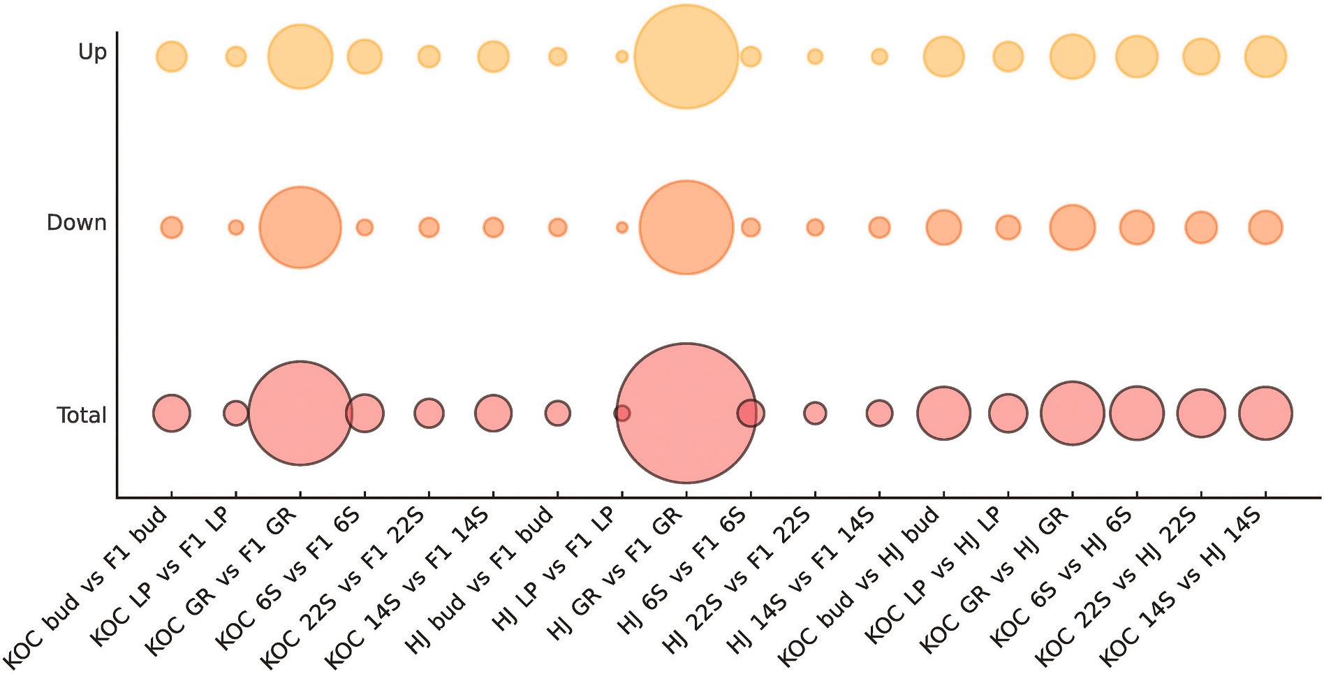 威廉希尔中文网站平台