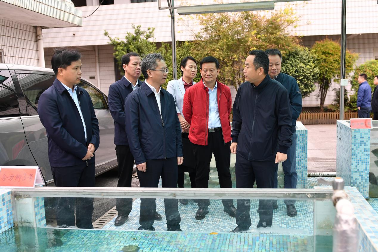 威廉希尔中文网站平台