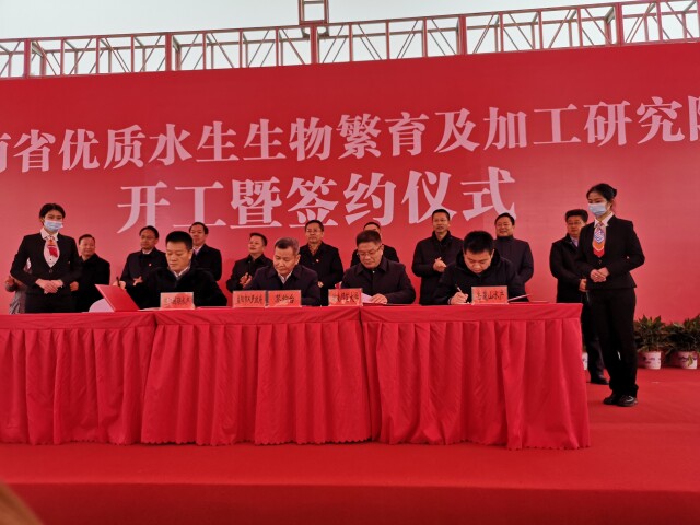 威廉希尔中文网站平台