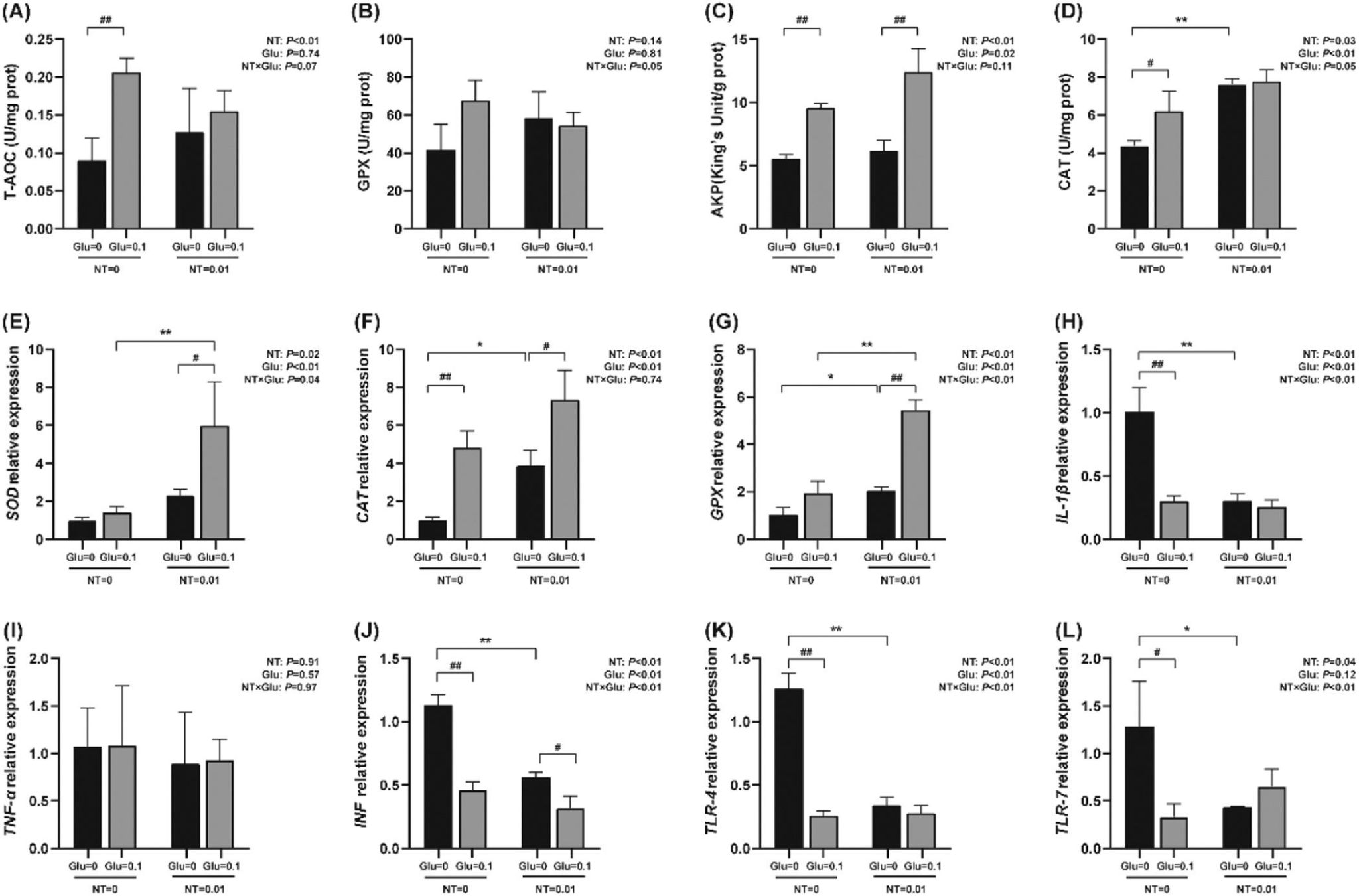 威廉希尔中文网站平台