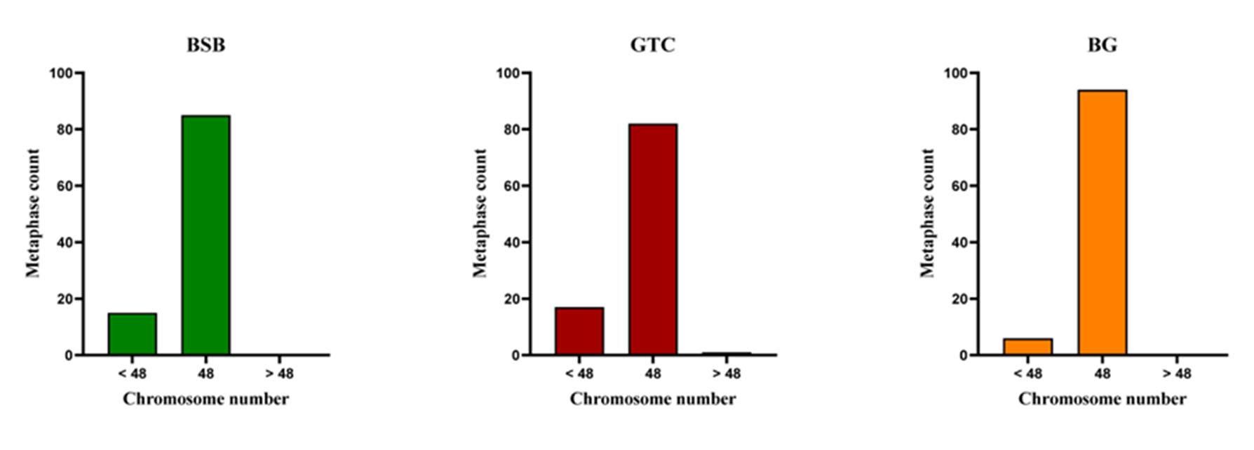 威廉希尔中文网站平台