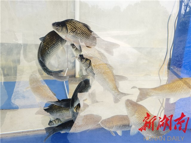 威廉希尔中文网站平台
