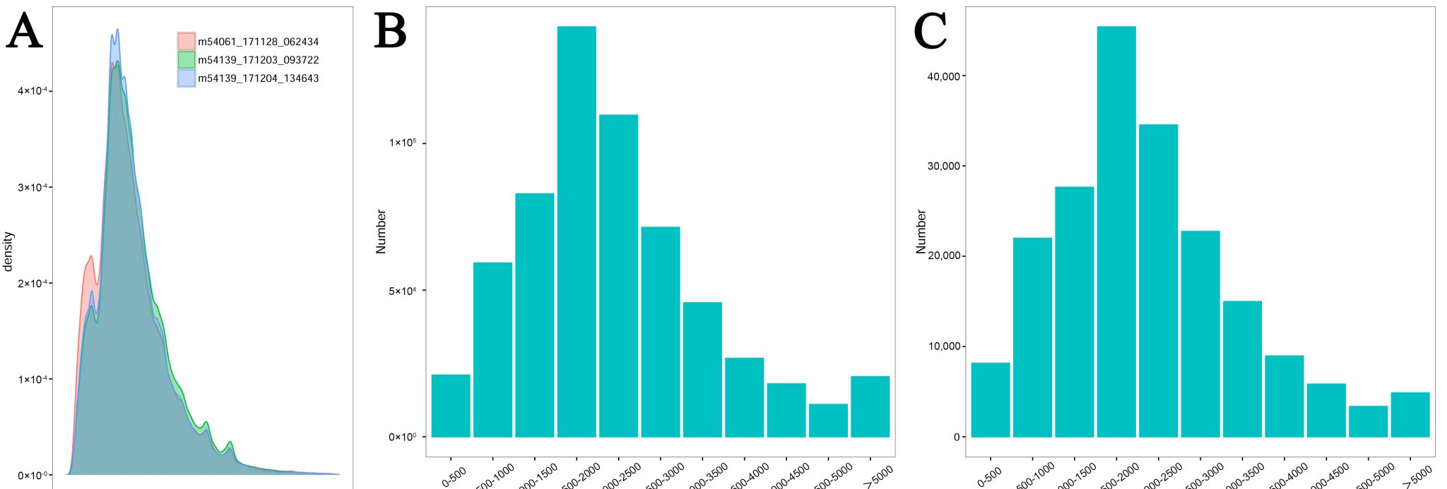 威廉希尔中文网站平台