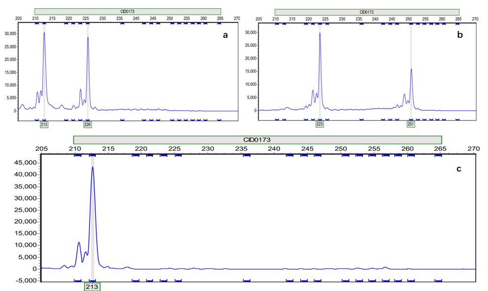 威廉希尔中文网站平台