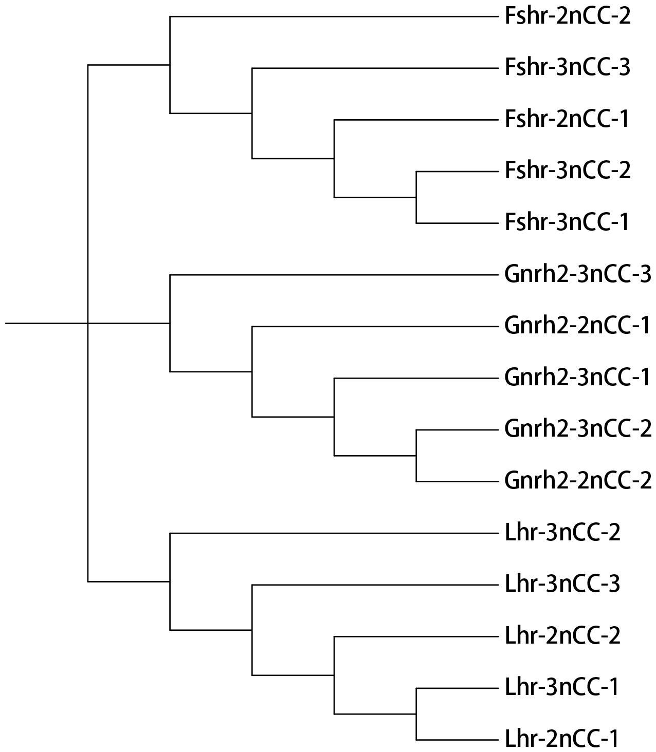 威廉希尔中文网站平台