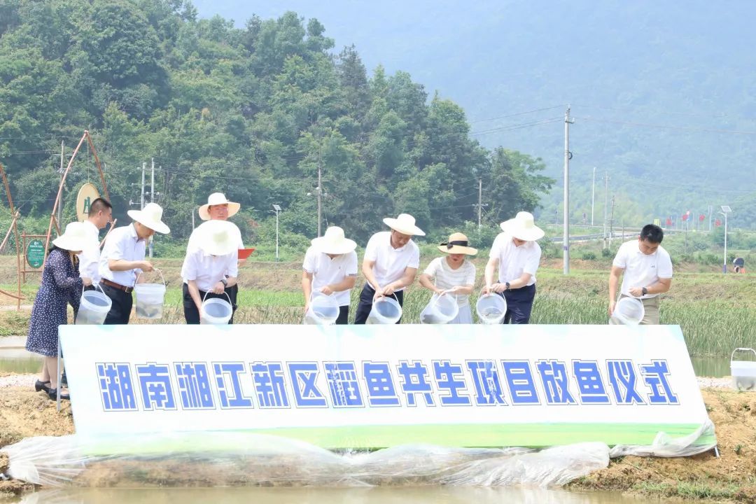威廉希尔中文网站平台