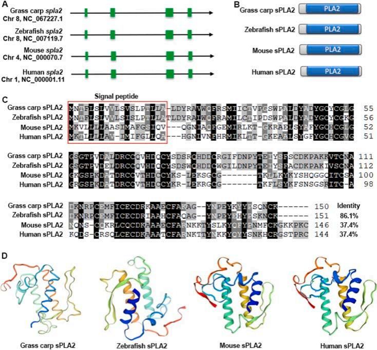 威廉希尔中文网站平台