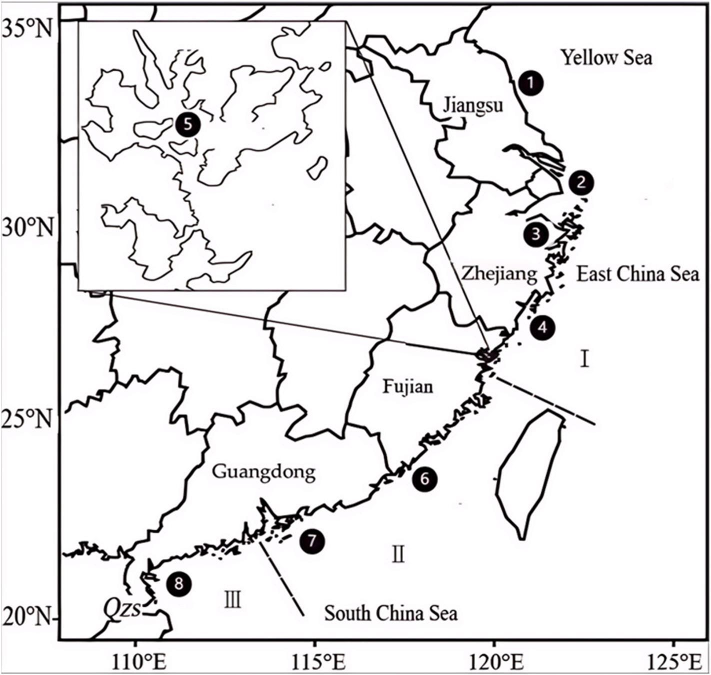 威廉希尔中文网站平台