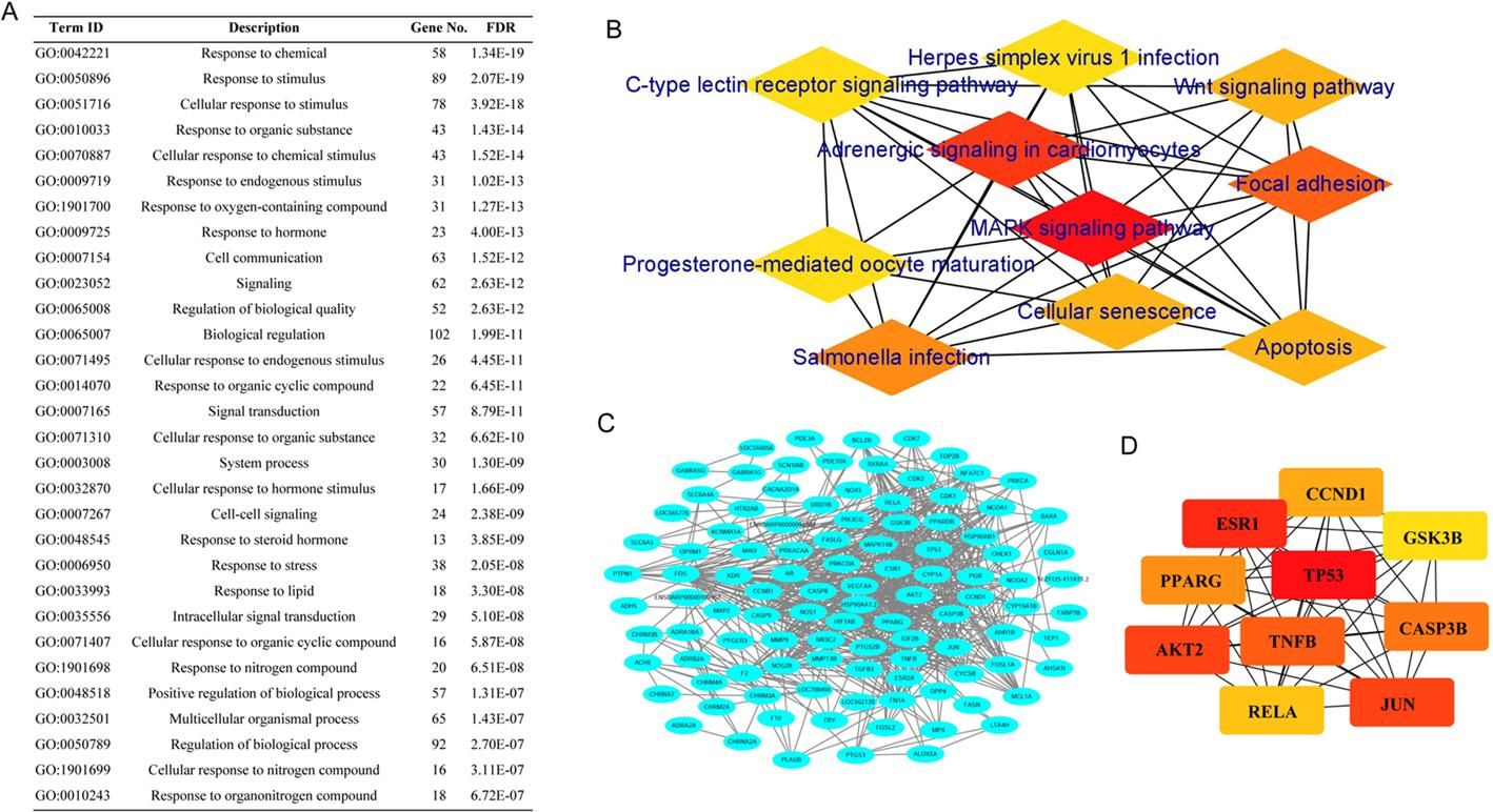 威廉希尔中文网站平台