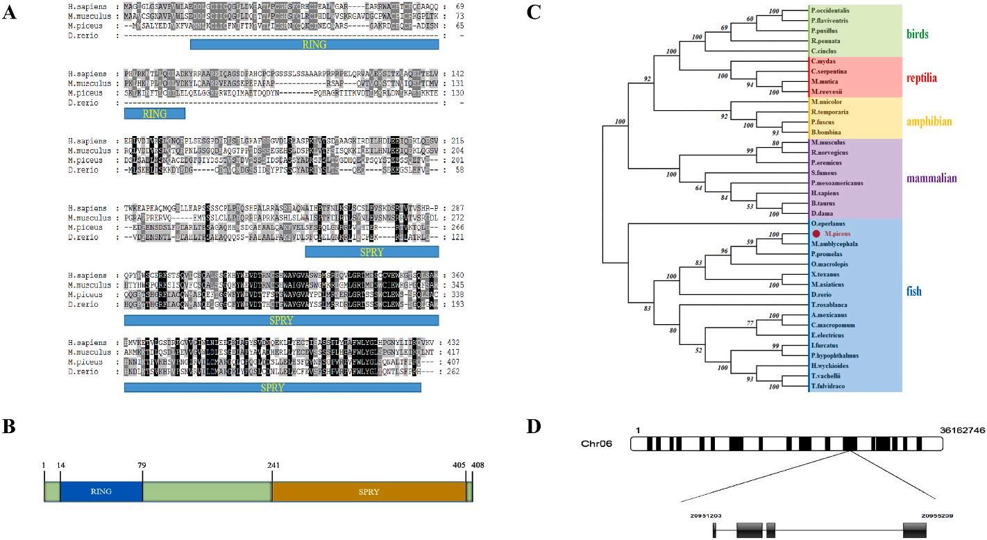 威廉希尔中文网站平台