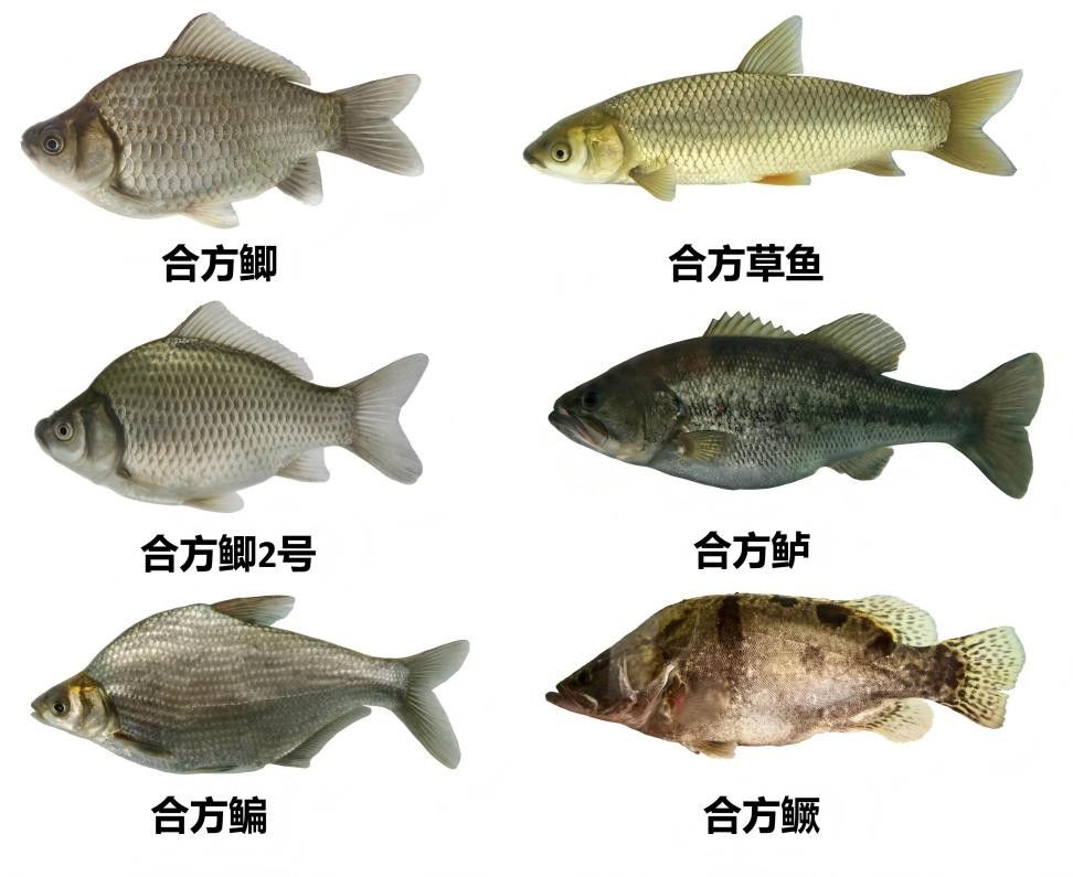 威廉希尔中文网站平台