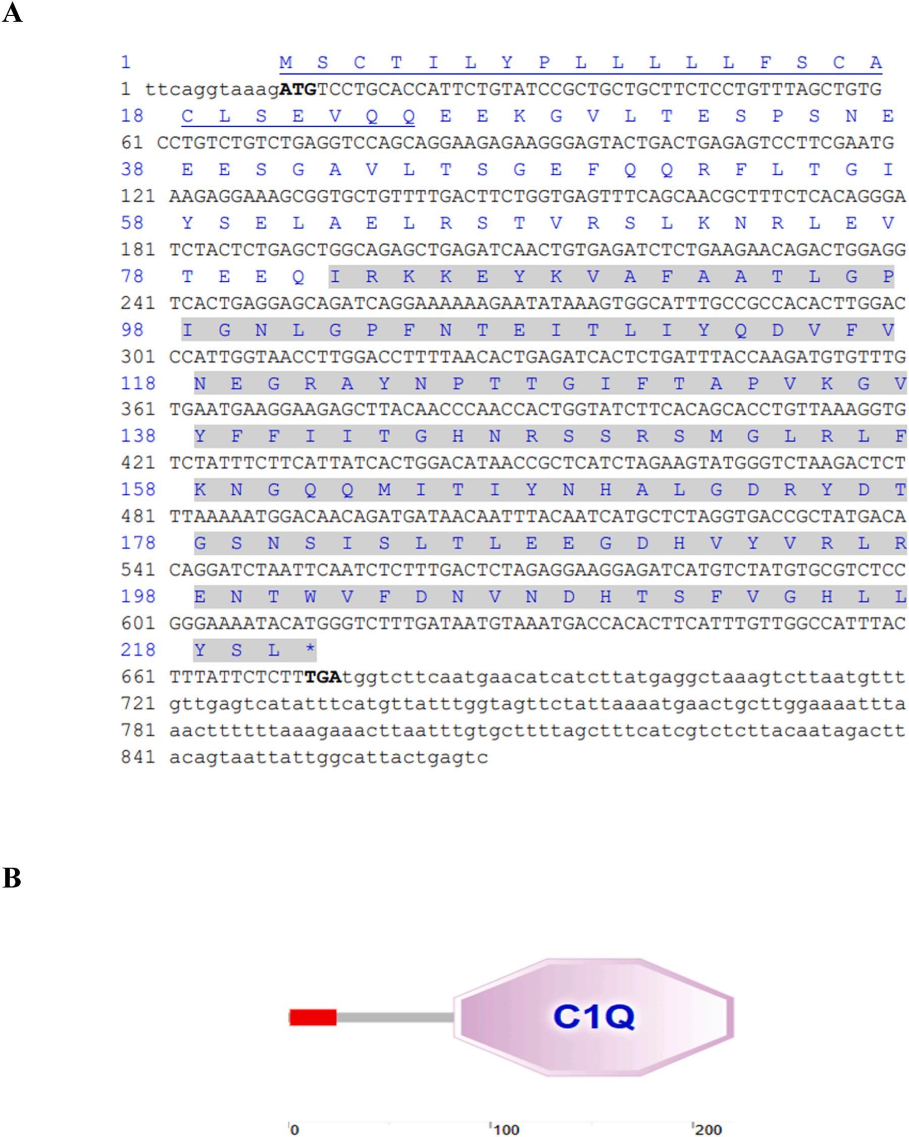 威廉希尔中文网站平台