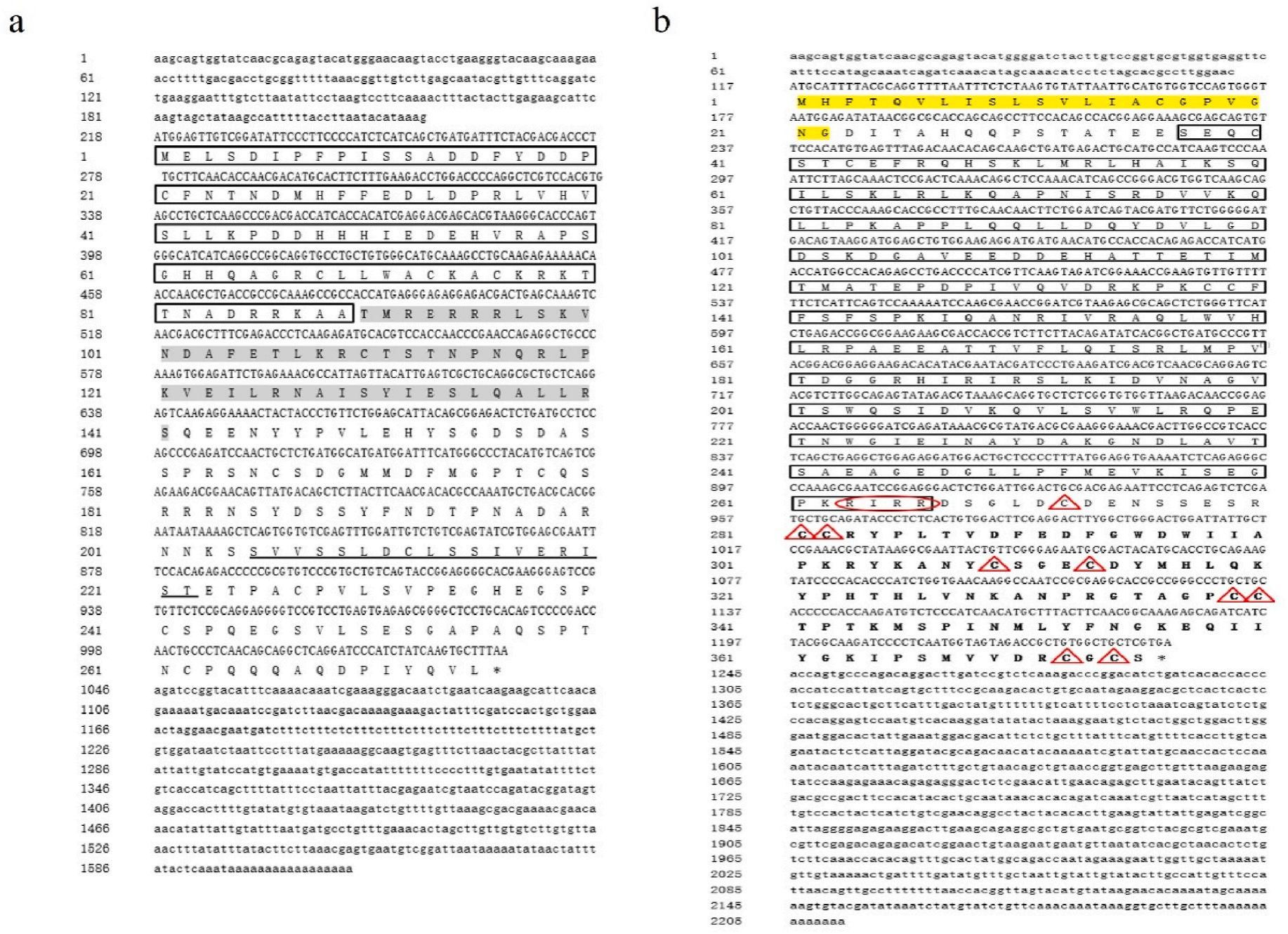 威廉希尔中文网站平台