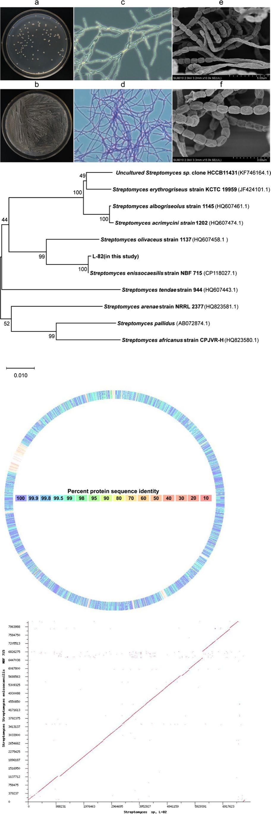 威廉希尔中文网站平台