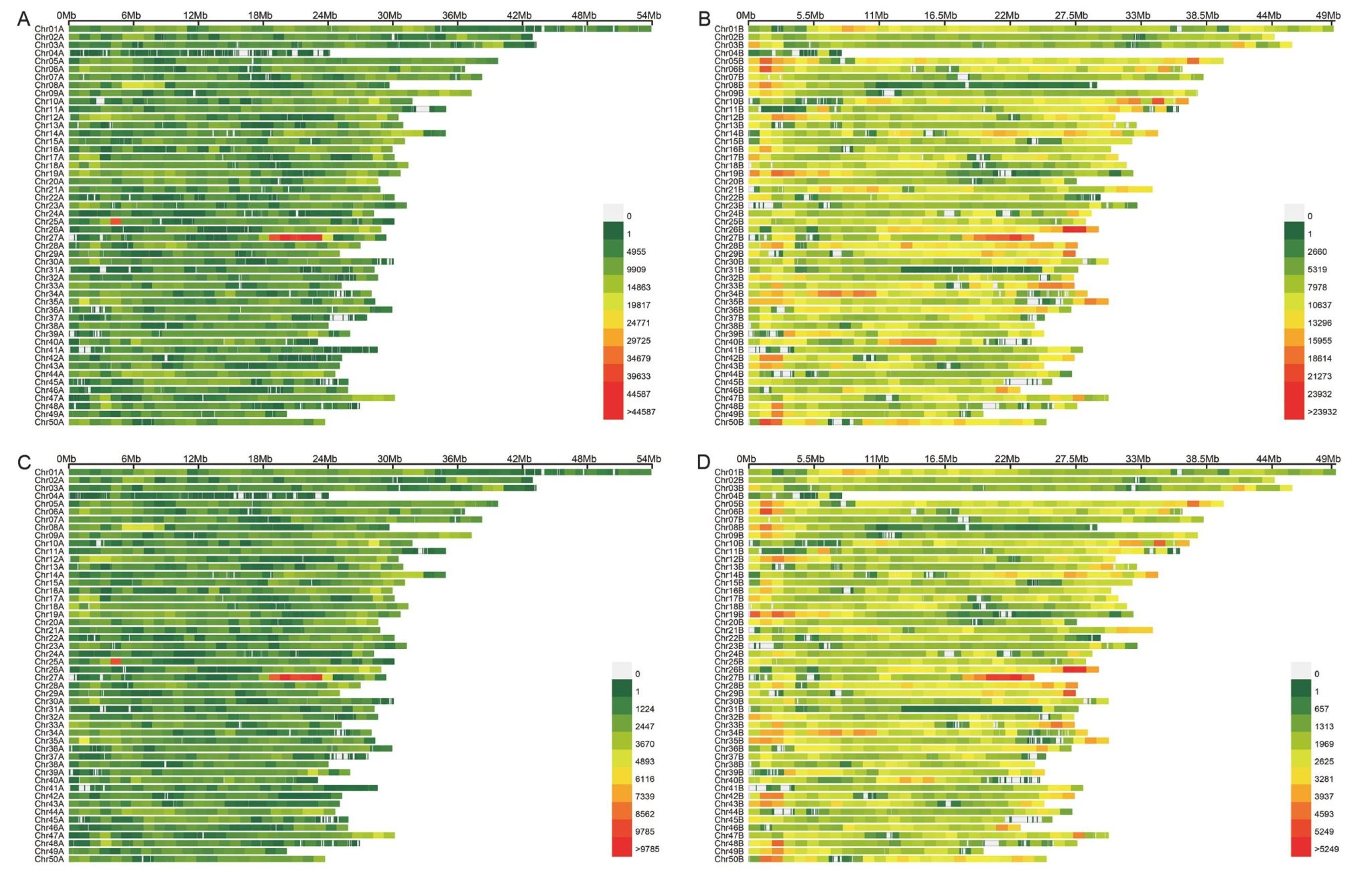 威廉希尔中文网站平台