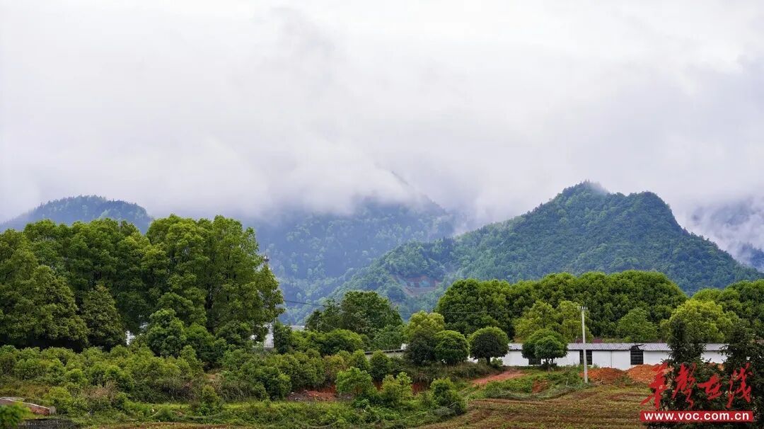 威廉希尔中文网站平台