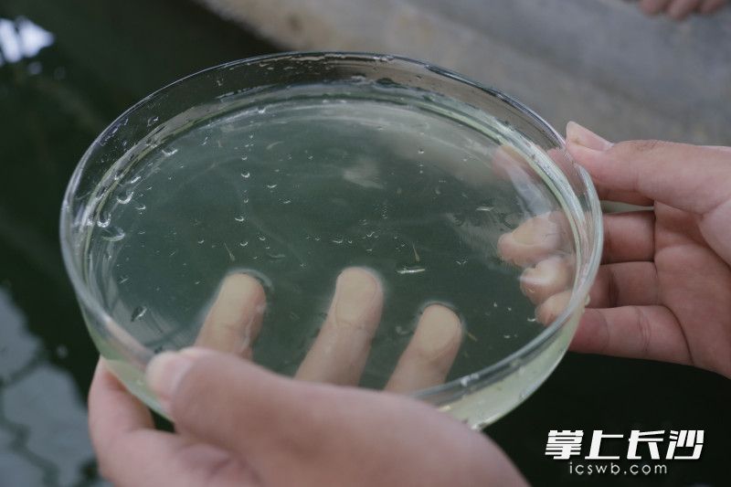 威廉希尔中文网站平台