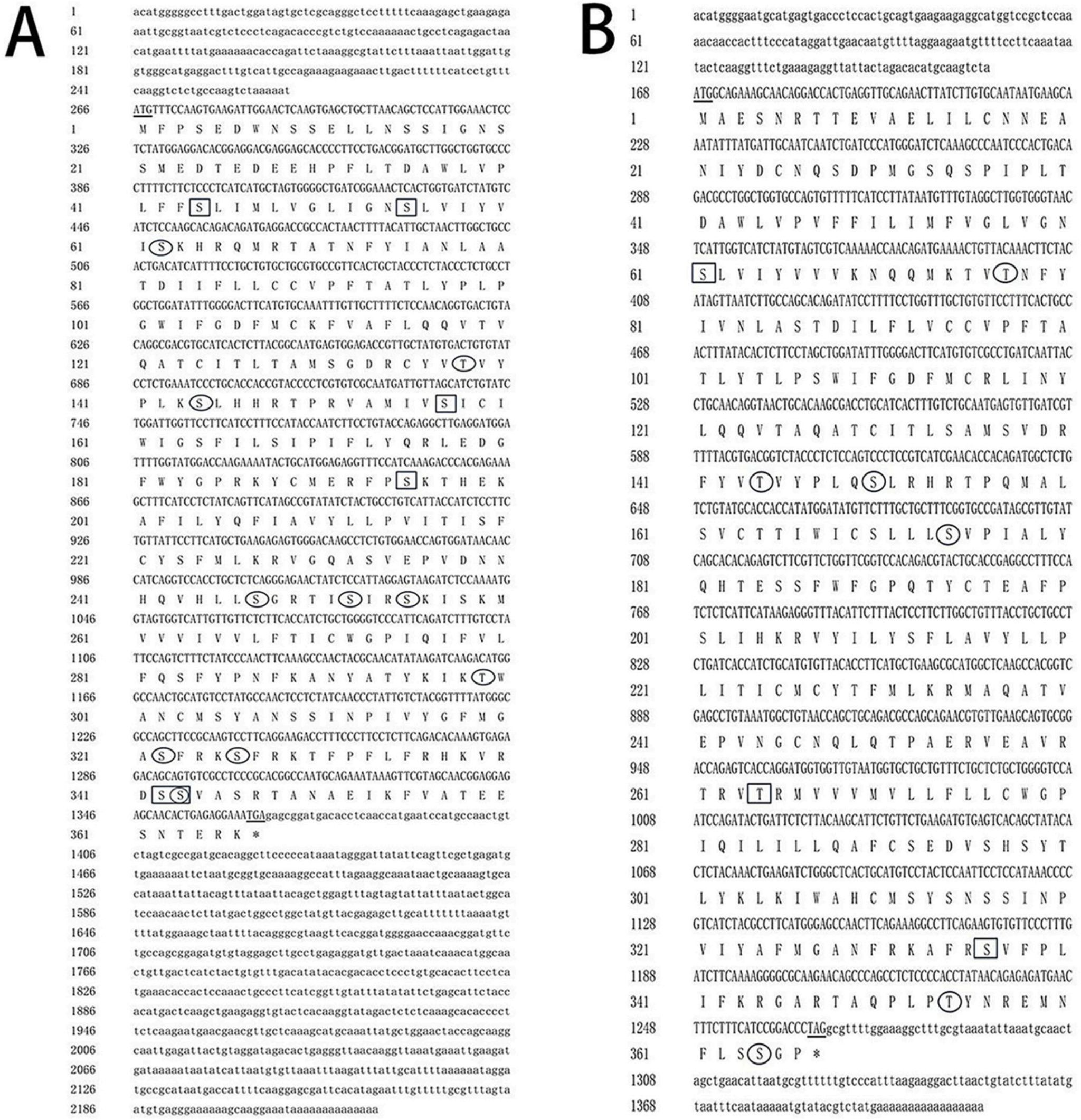 威廉希尔中文网站平台