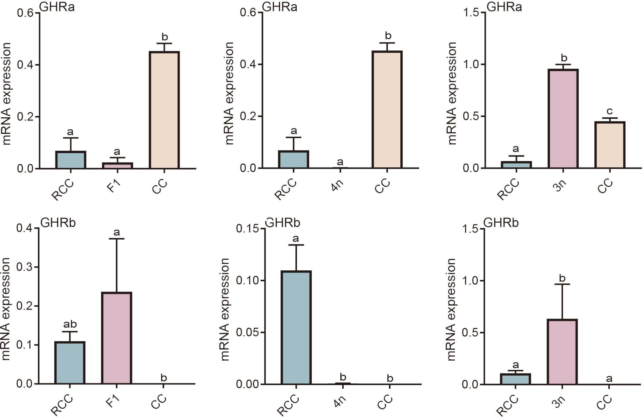 威廉希尔中文网站平台