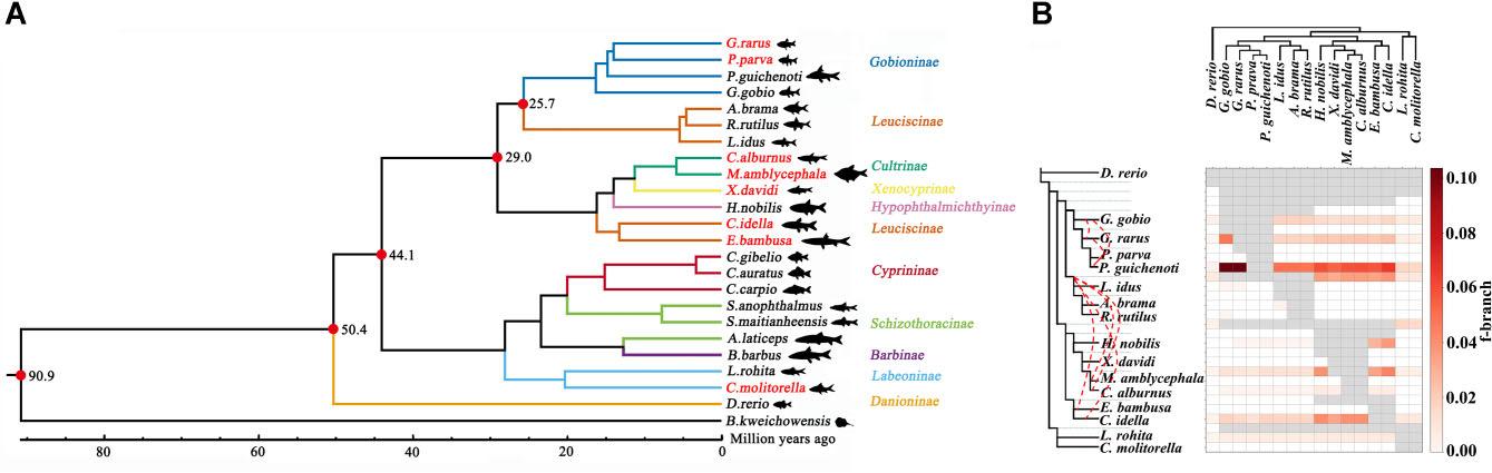 威廉希尔中文网站平台