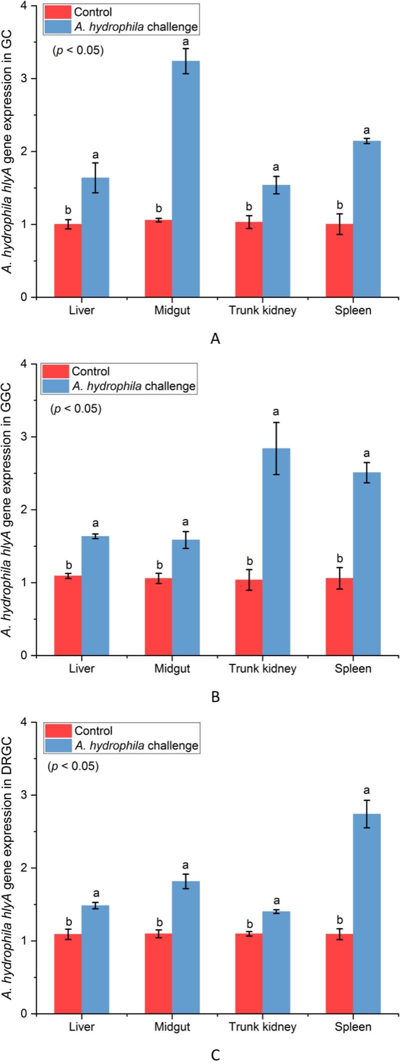 威廉希尔中文网站平台
