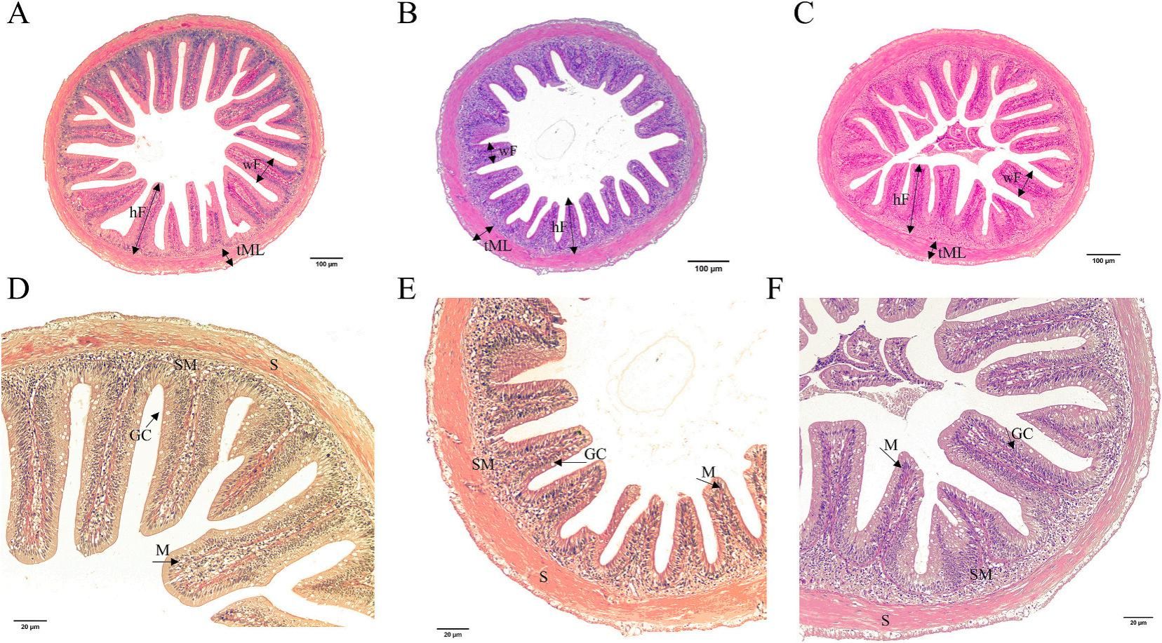威廉希尔中文网站平台