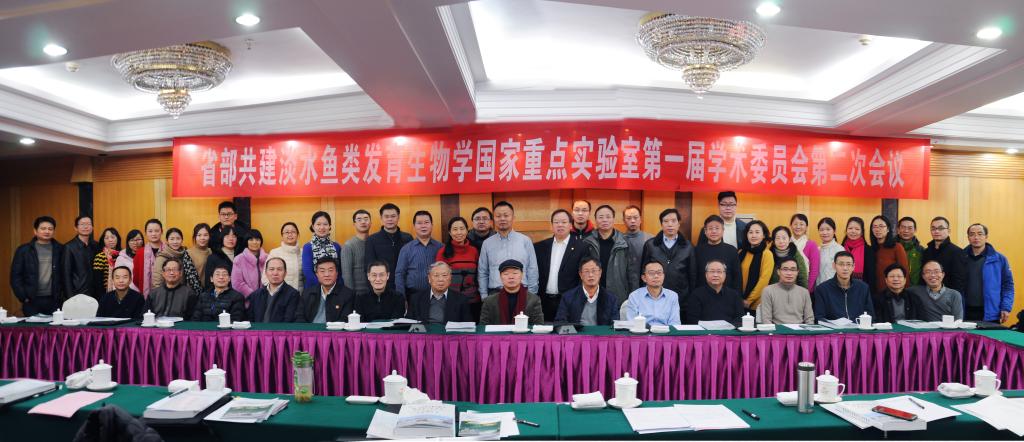 威廉希尔中文网站平台