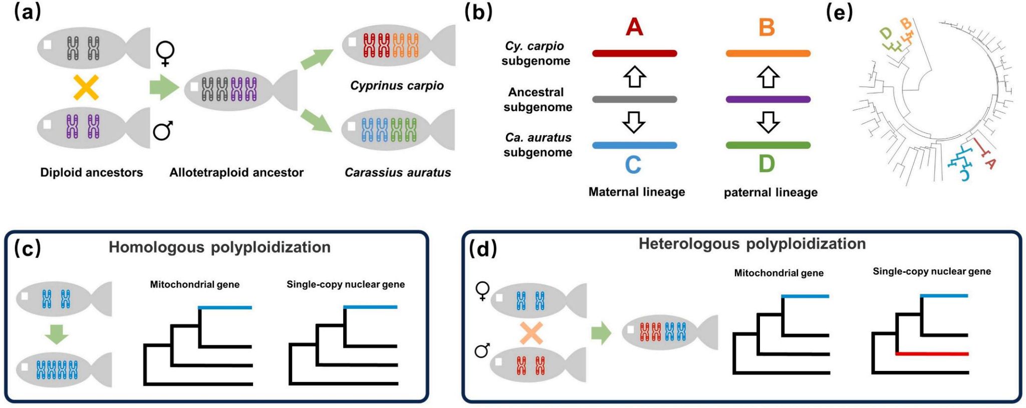威廉希尔中文网站平台