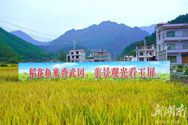 威廉希尔中文网站平台