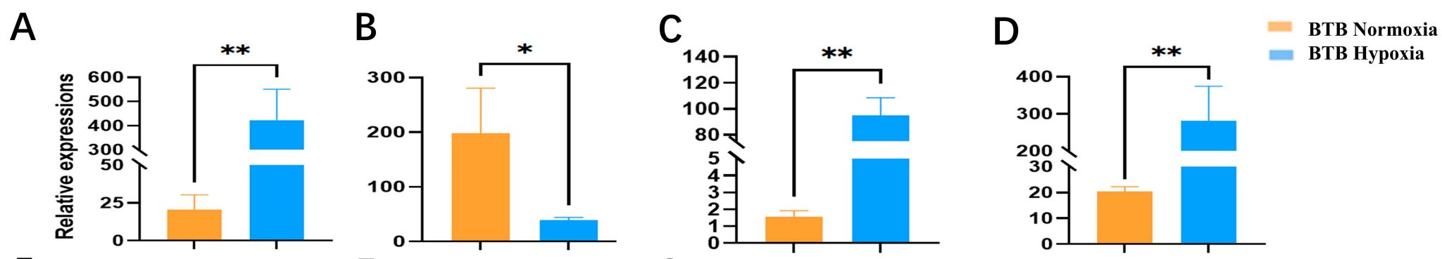 威廉希尔中文网站平台