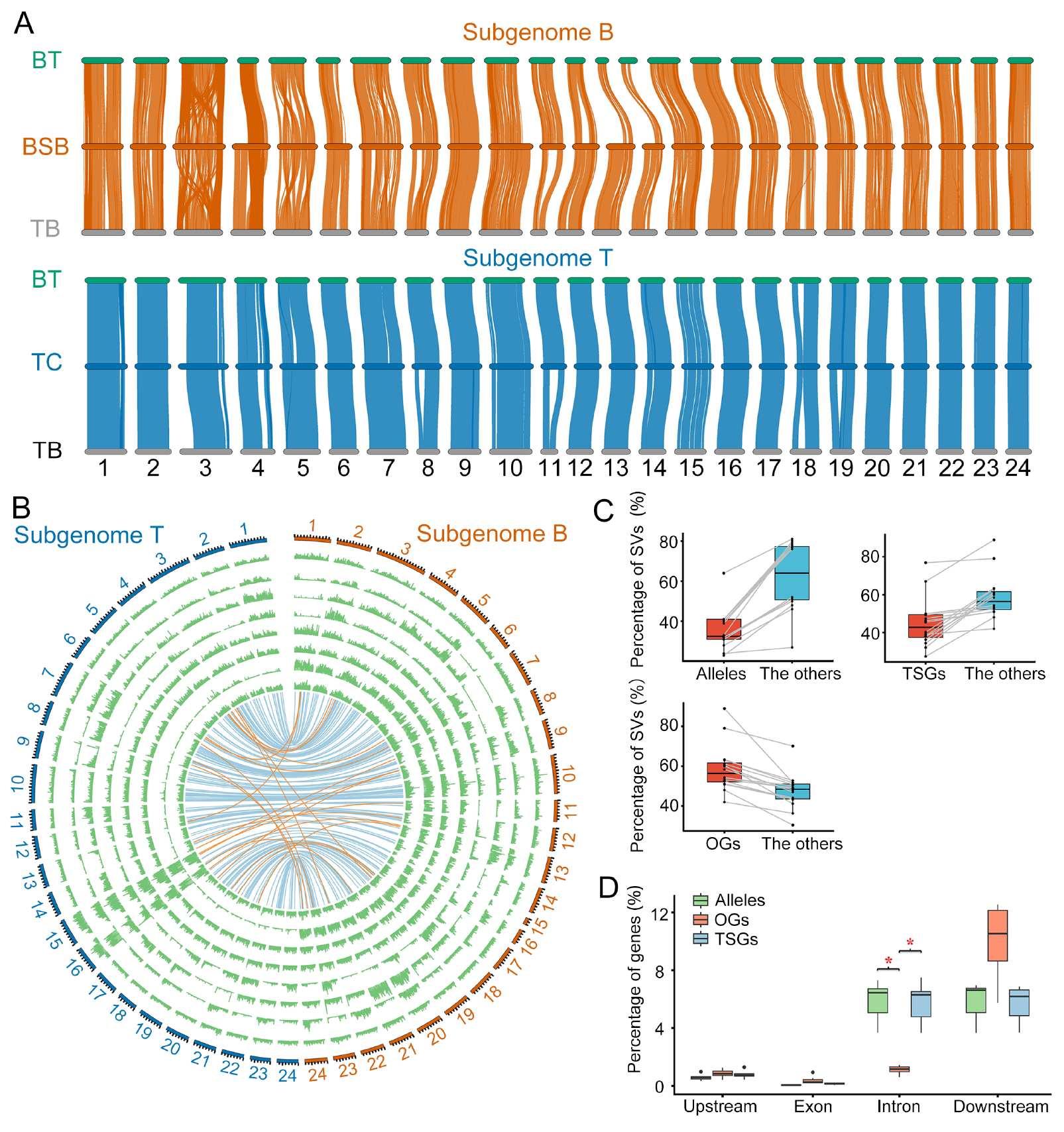 威廉希尔中文网站平台