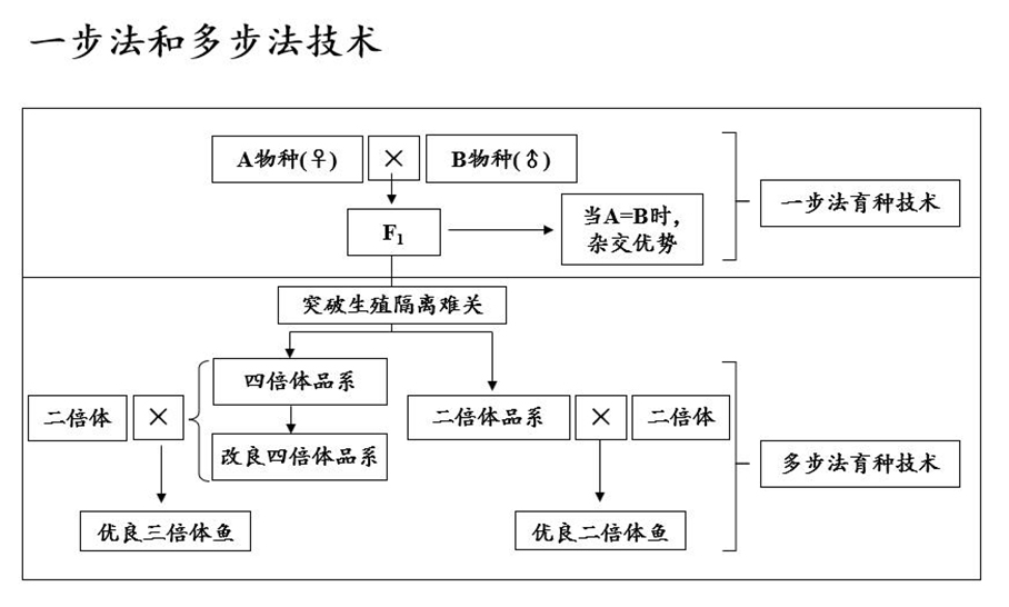 威廉希尔中文网站平台