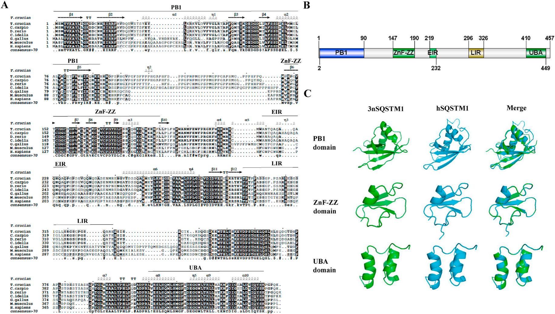 威廉希尔中文网站平台