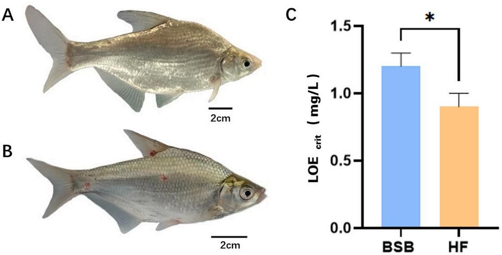 威廉希尔中文网站平台