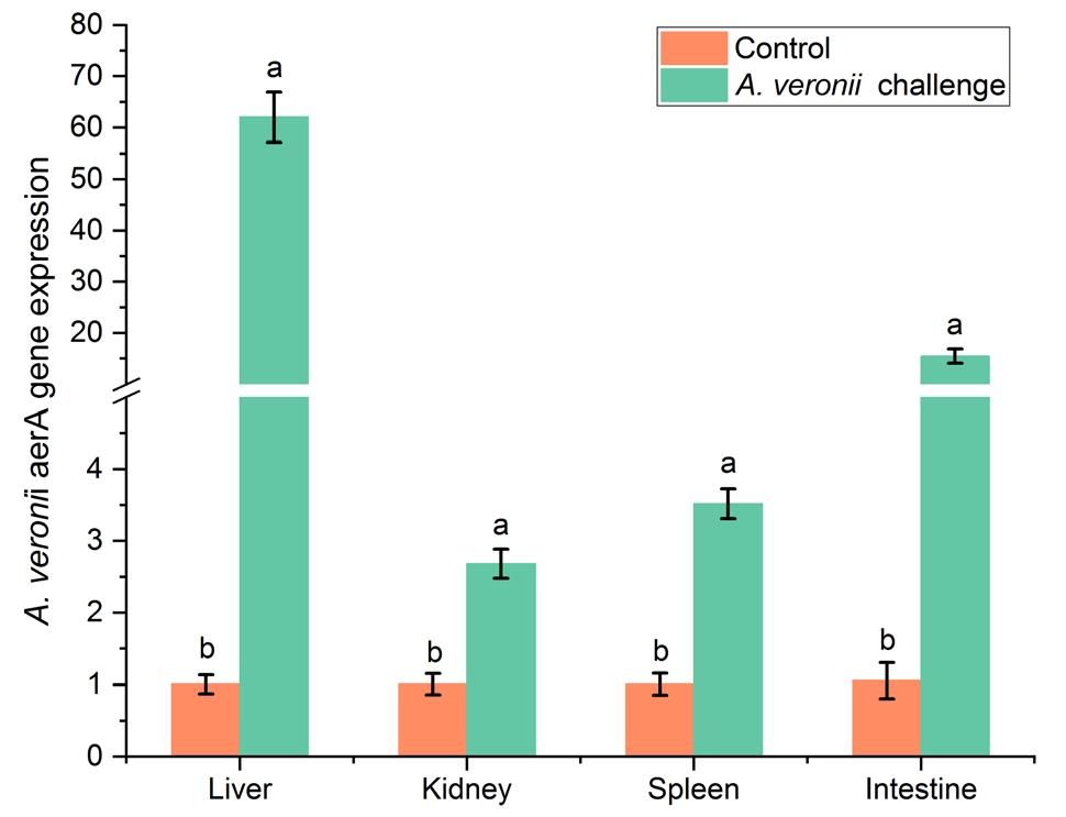 威廉希尔中文网站平台