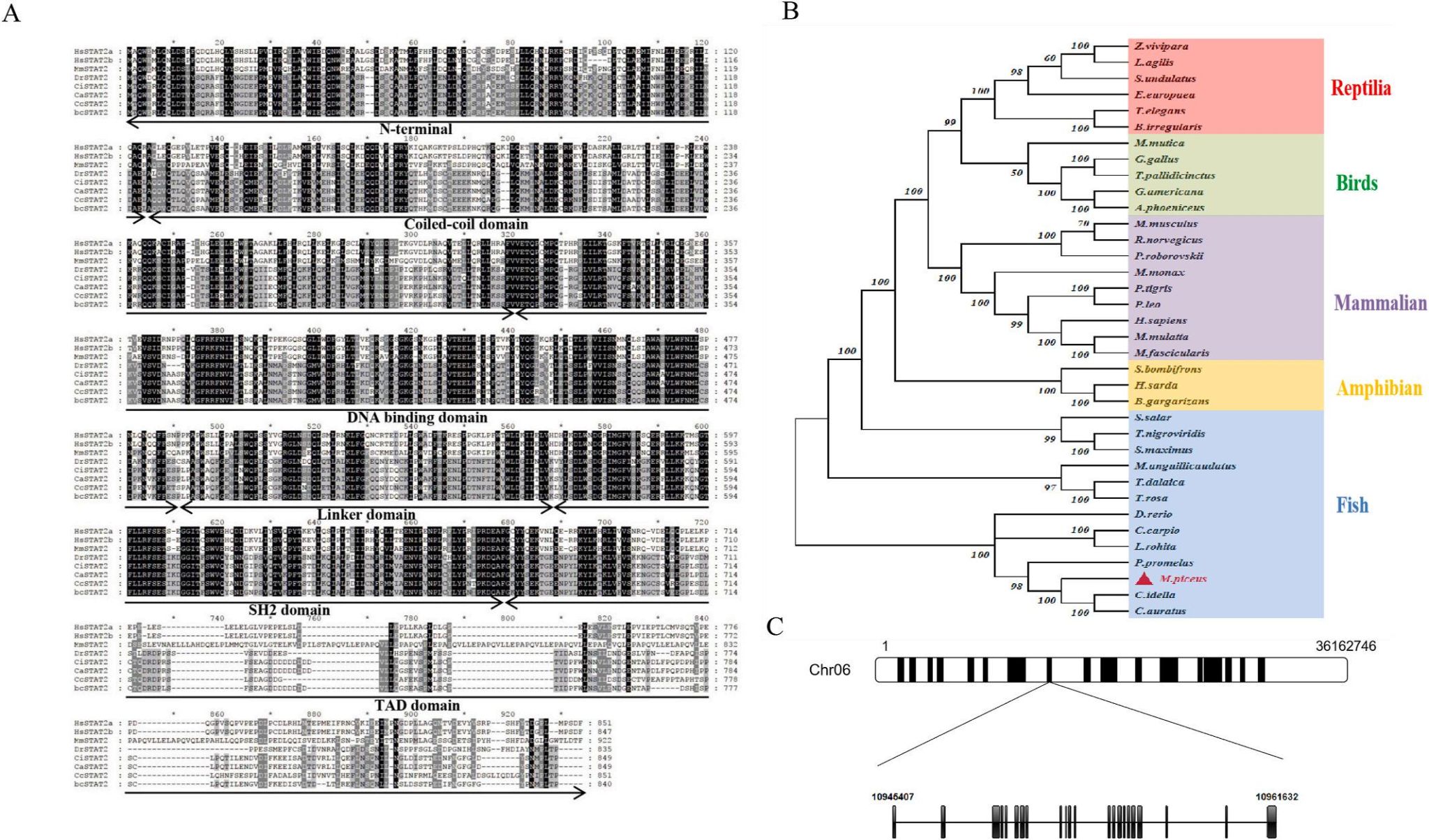 威廉希尔中文网站平台